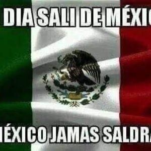 Meet your Posher, Mabel